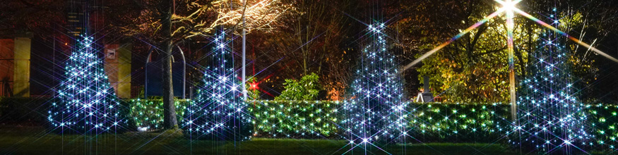 christmas lights twinkling around campus